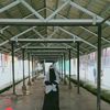 afgy_4