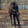 clw_naturalhorsemanship