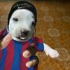 eduardopesantez12