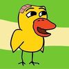 _ferdi1104