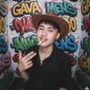 gavaa_vaa