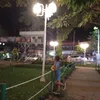 _yzein1