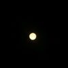 unknown06433822