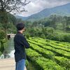 wildann.official05