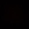 sadewa_252