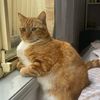 heath_12345