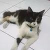 dewiyulianti911