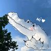 _frisianflagg