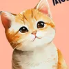 azman_955