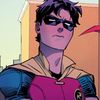 actually_the_first_robin
