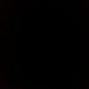 pinar_6781