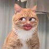 diididjdndndjdjjdjdj