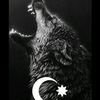 turkcunisaa