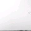 whooo_m7