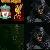 lallana212