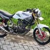 lisinjtr