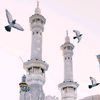fatimahazhra0901