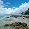 pas_242424