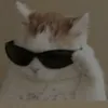 carolaineps1