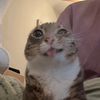 arya_4888