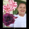 silviacordeirodes7