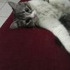 ellenroe_f