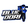 bluedori_42