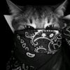 lucass3p_