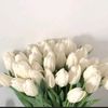 kesuma044
