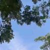 ubed_20