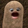baltee_guy7