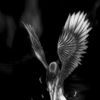 gabby.b777