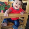 damul376