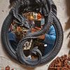 wilddragonmaster400