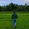dekiardianto_