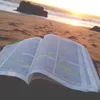 evangelhiuhh