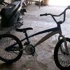 davinisnu681