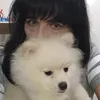 mirianpisetta1