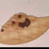 perronesa_sin_mayonesa