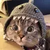 _kitty0001_