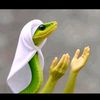 diishan97_