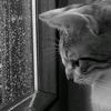 spkudn_
