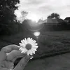 flority_craft