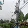 gianyar295
