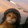 flyisterbang