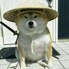 rendy_1342