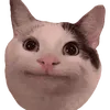 andraa_nocounter