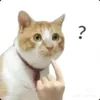 mih_pphuonqwj