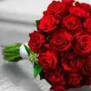 user5959561930103