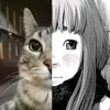 mmmkitty_san